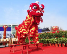 舞狮 专业的舞狮表演怎么找?(图1)